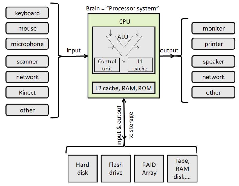 basic computer processes with some of the hardware we covered included along with examples on input and output devices