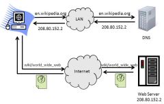 DNS Lookup for web page